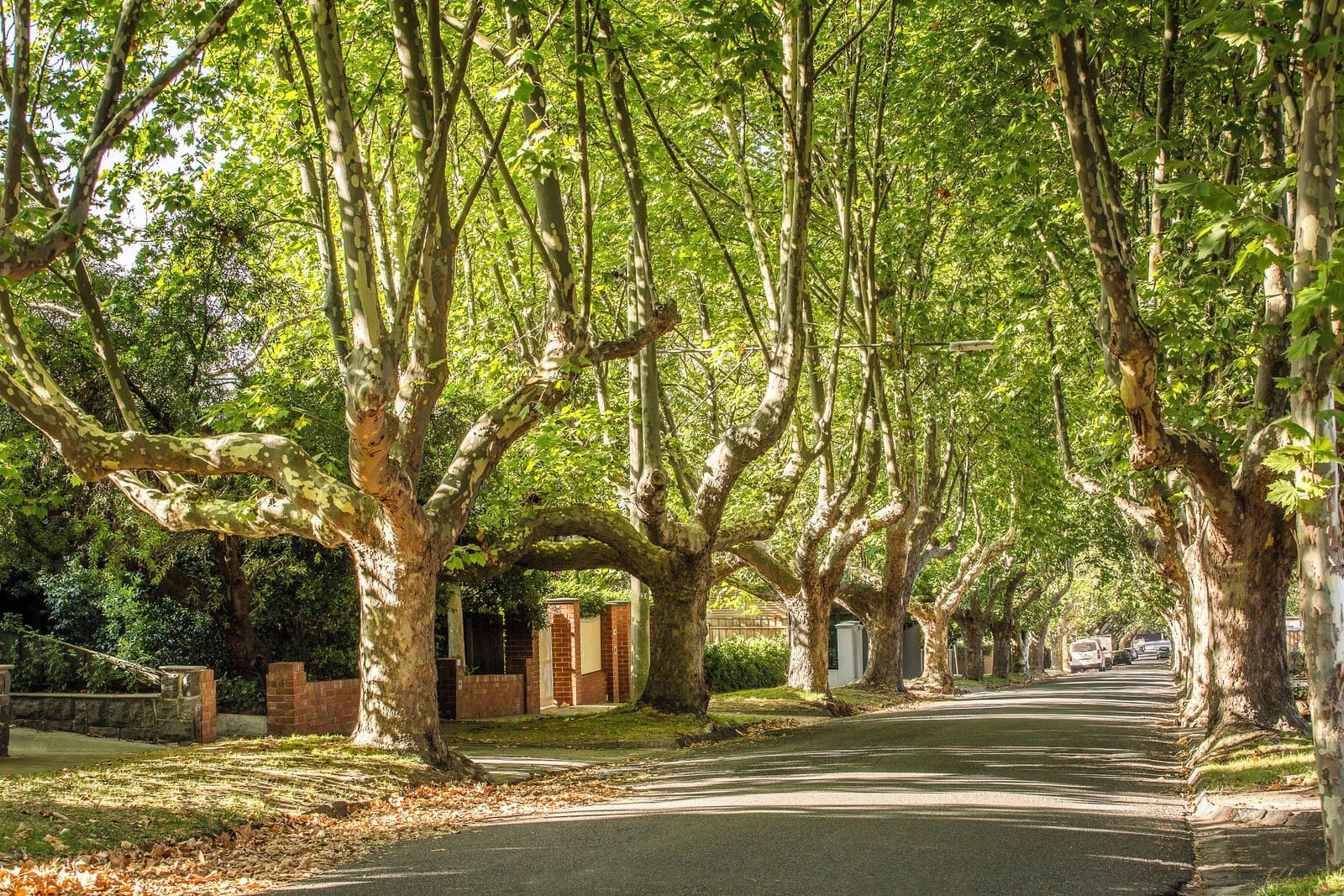 15 Peverill Street, Deepdene - Image 1