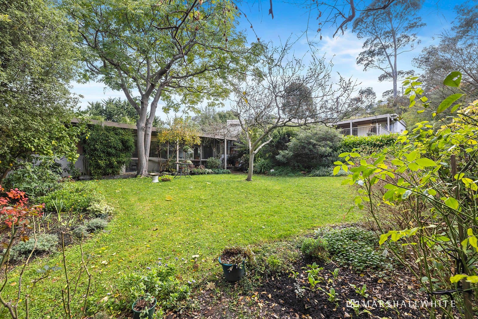 60-62 Station Street, Mount Eliza - Image 1