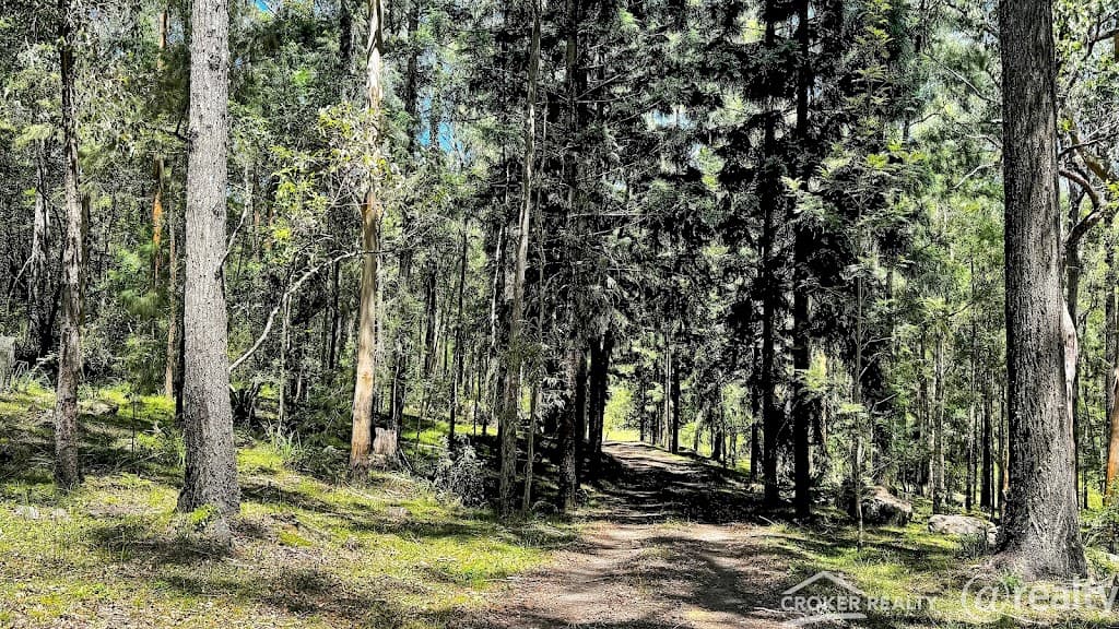 25 Dingo Gully Road, Grevillia, NSW, 2474, Grevillia - Image 1