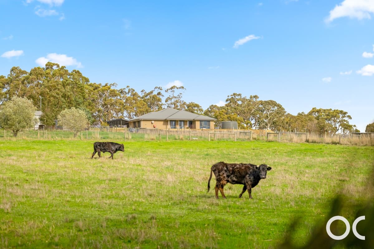 1239 Brookman Road, Dingabledinga - Image 1