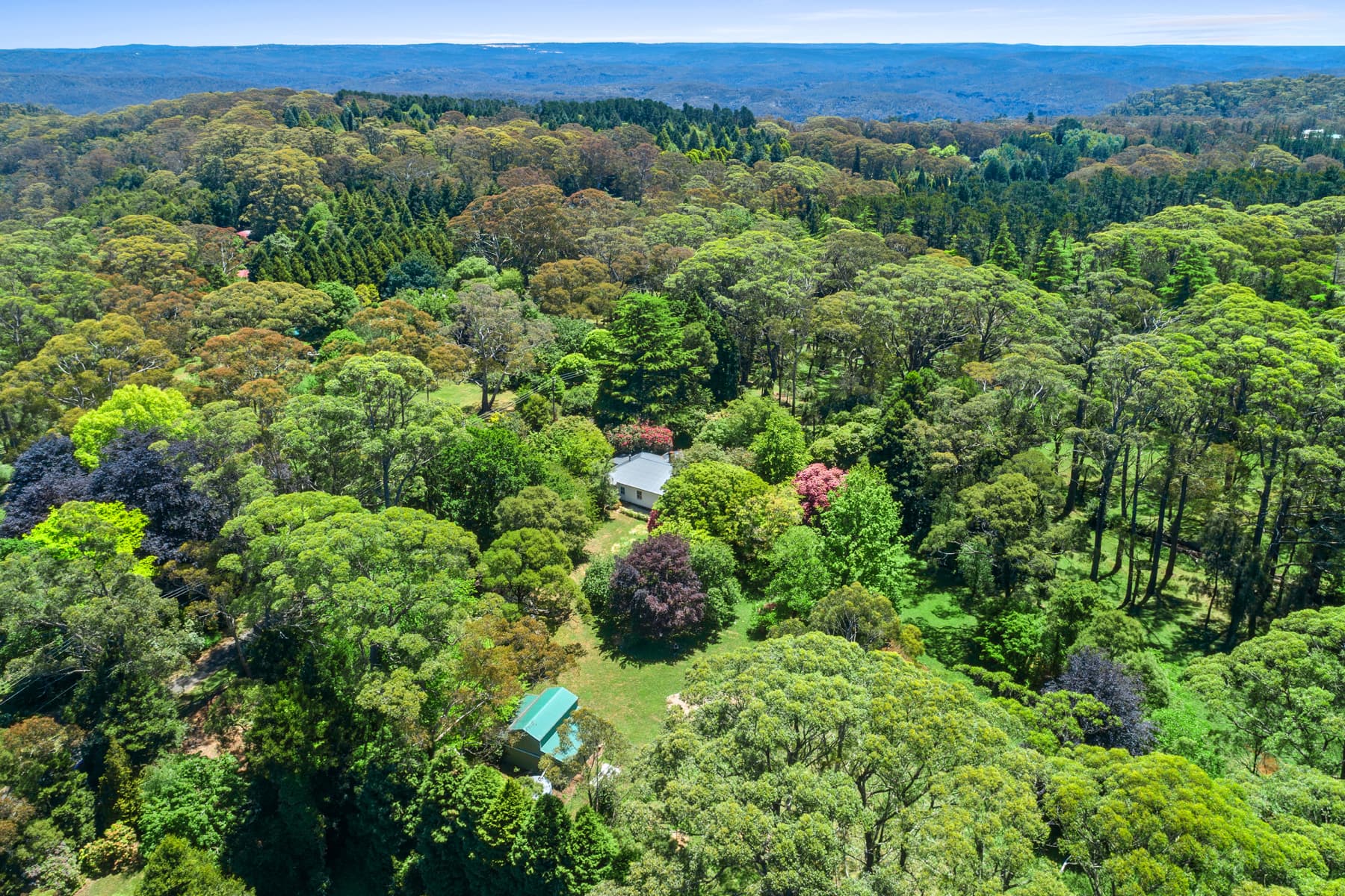 1-5 Wynnes Rocks Rd Mt Wilson NSW, Mt Wilson - Image 1