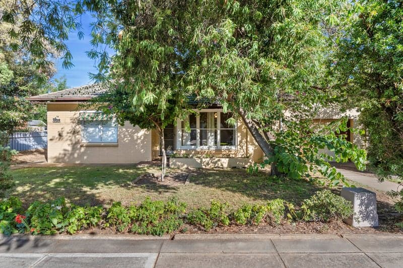 14 Wongala Avenue, Glenelg North - Image 1