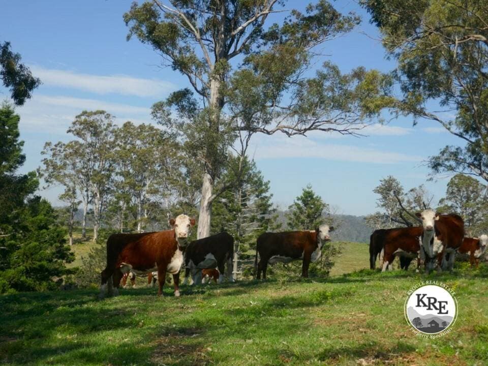 429 Wyndham Creek Road, Kyogle - Image 1