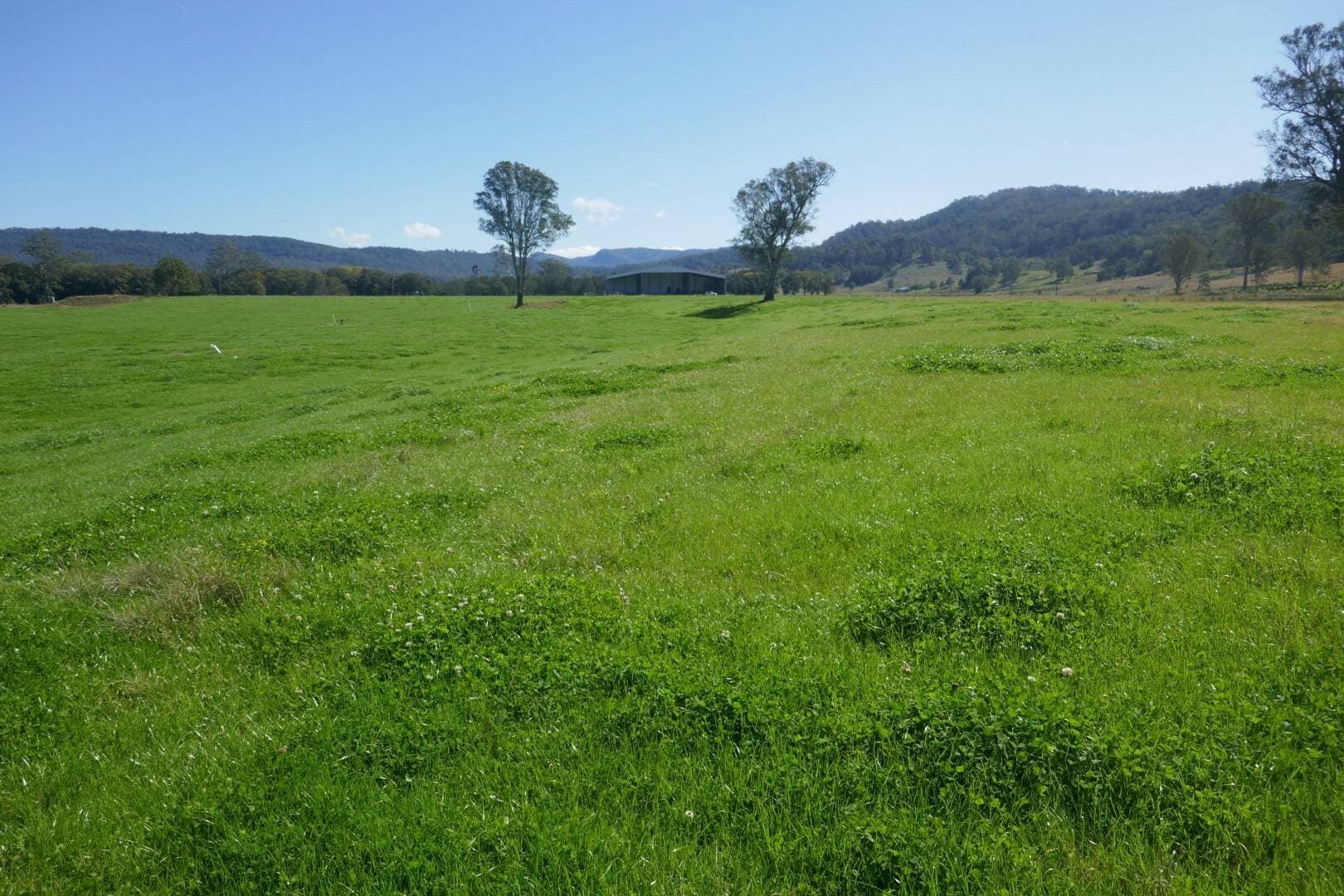 1100 Iron Pot Creek & Ghinni Ghi Roads, Kyogle - Image 1