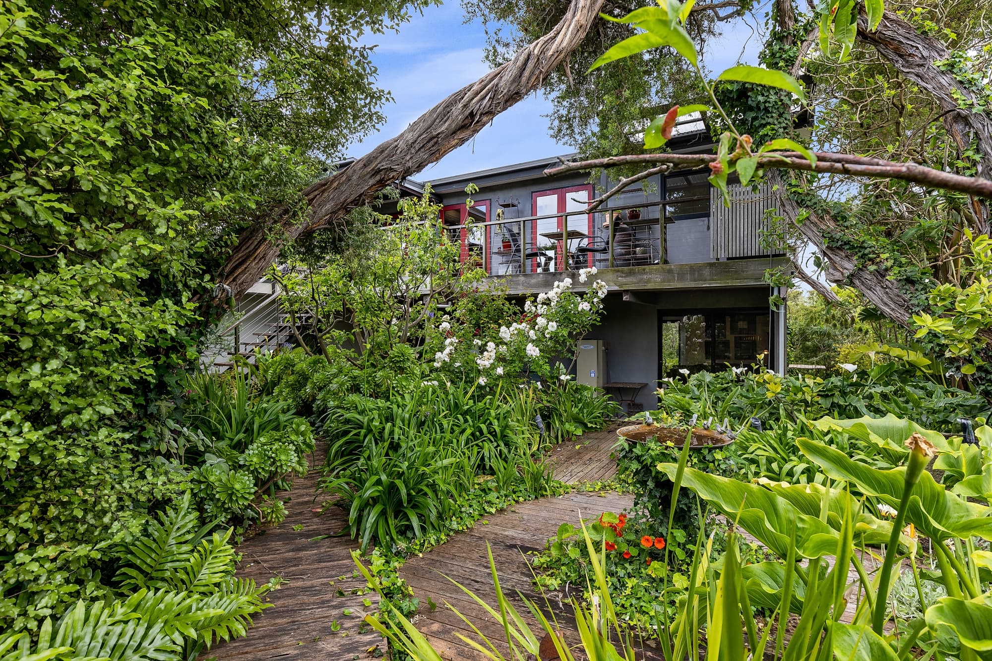 8 Canterbury Jetty Road, Blairgowrie, Blairgowrie - Image 1