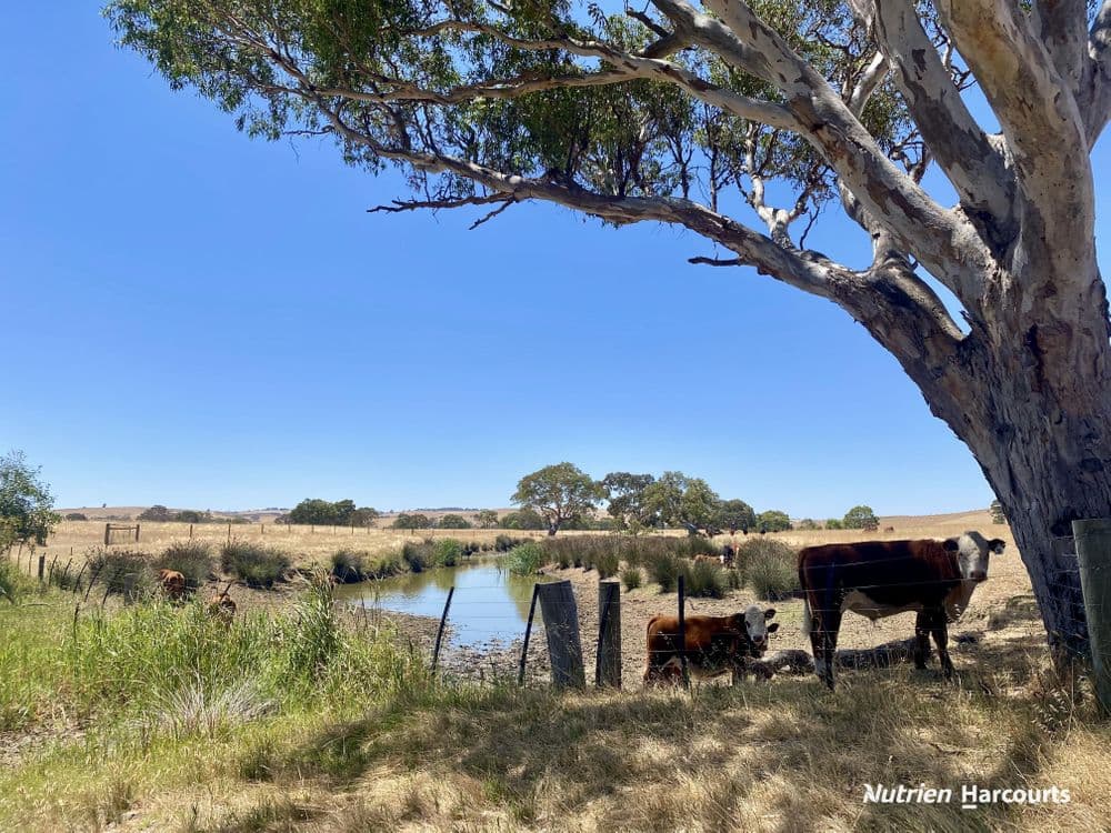 3857 Glenelg Highway, COLERAINE, VIC 3315, Coleraine - Image 1