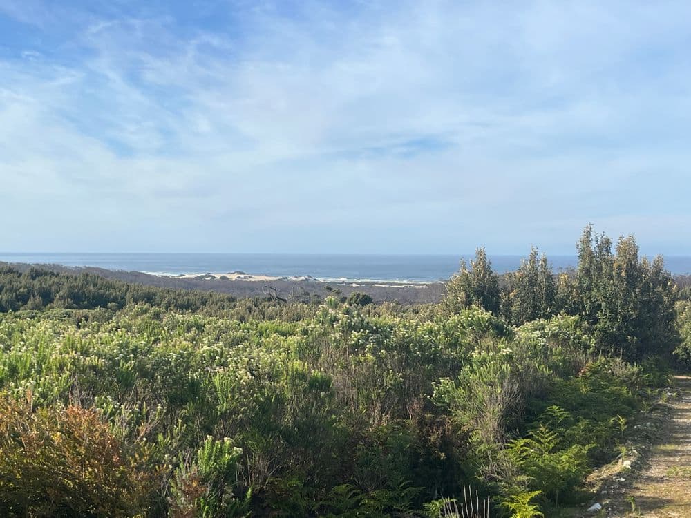 . Wilsons Road, GRANVILLE HARBOUR, TAS 7469, Granville Harbour - Image 1