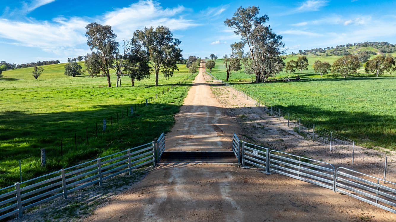 Lot 1/279 & Lot 2/281 Jingellic Road, HOLBROOK, NSW 2644, Holbrook - Image 1