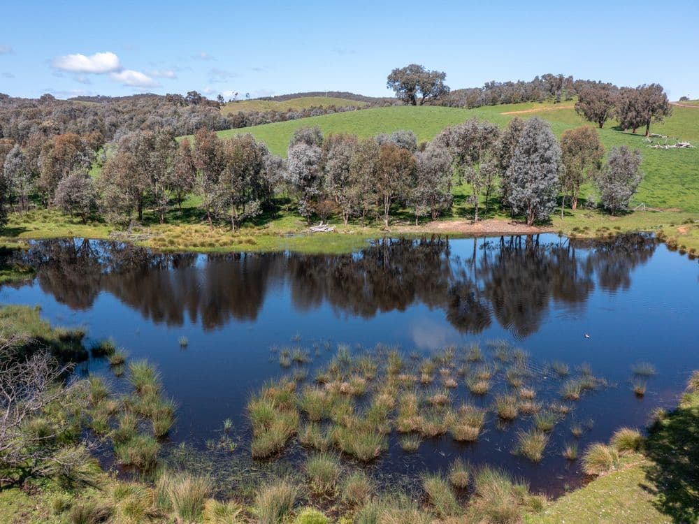 97 Granite Road, LURG, VIC 3673, Lurg - Image 1