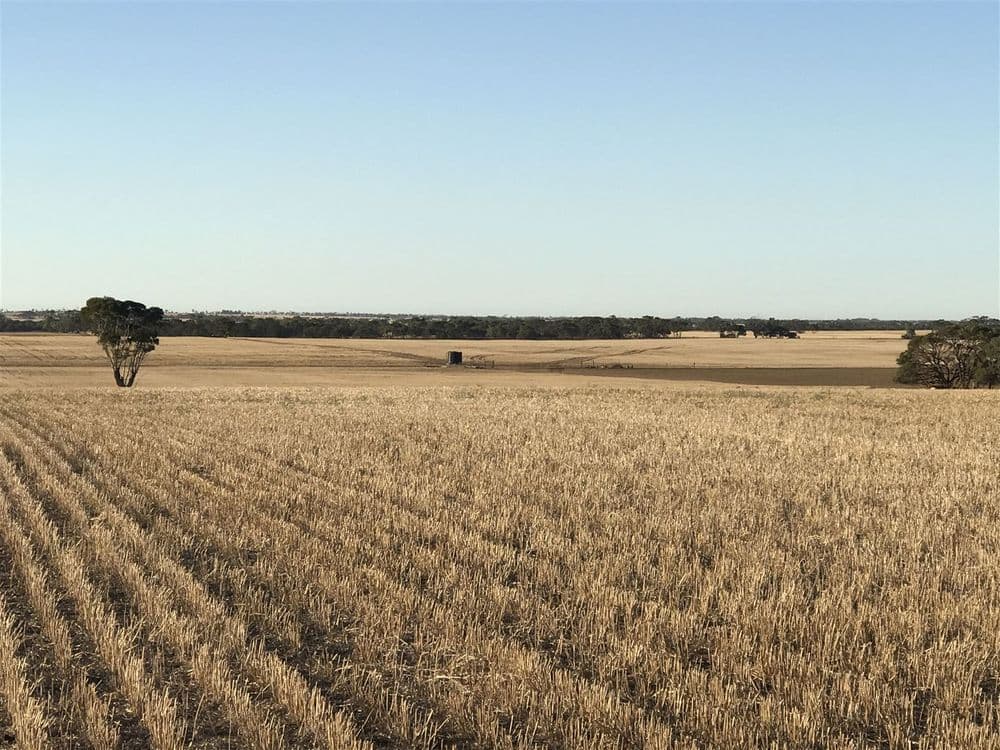 139 Willamulka Road, Willamulka, Kadina, SA 5554, Willamulka - Image 1
