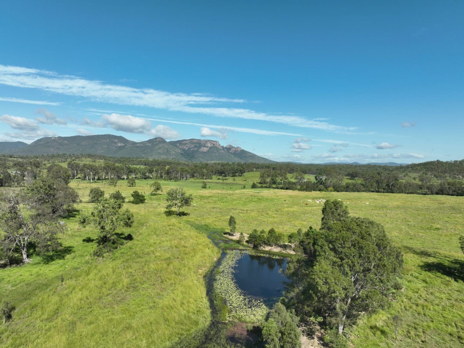 Lot 98 Biggenden Maryborough Road, Lakeside - Image 1