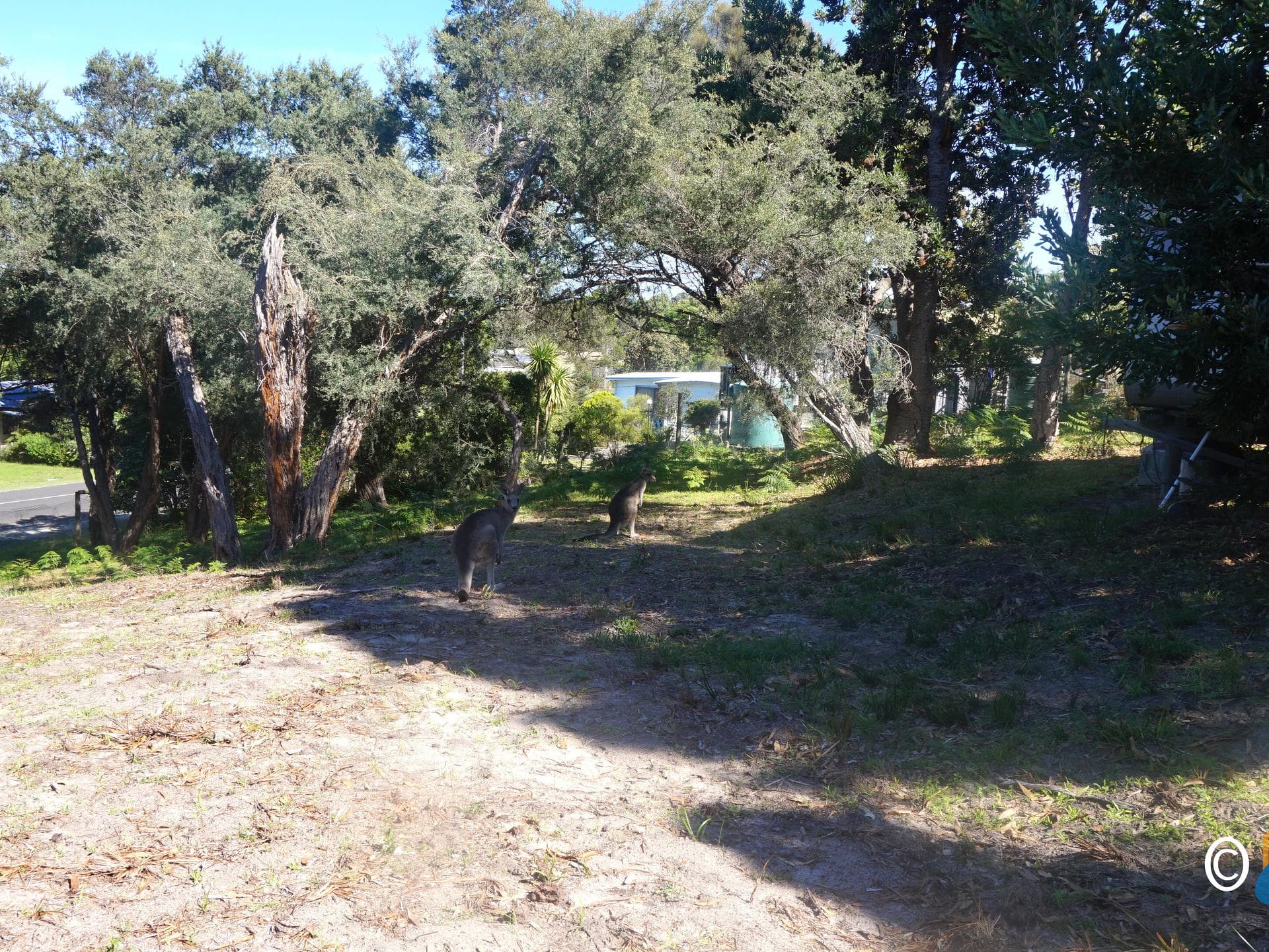 329 - 331 National Park Road Loch Sport, VIC, Loch Sport - Image 1