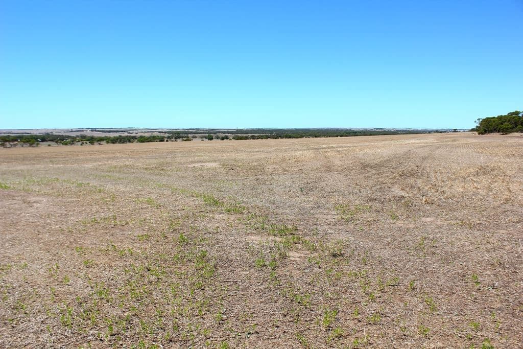 1030 Mt Rat Wells road, Wauraltee, SA 5573, Wauraltee - Image 1