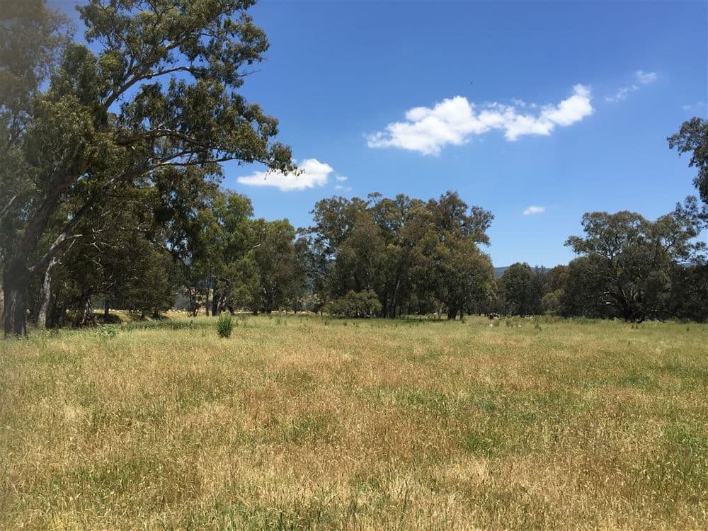 440 Whanregarwen Road,, Molesworth, VIC 3718, Molesworth - Image 1