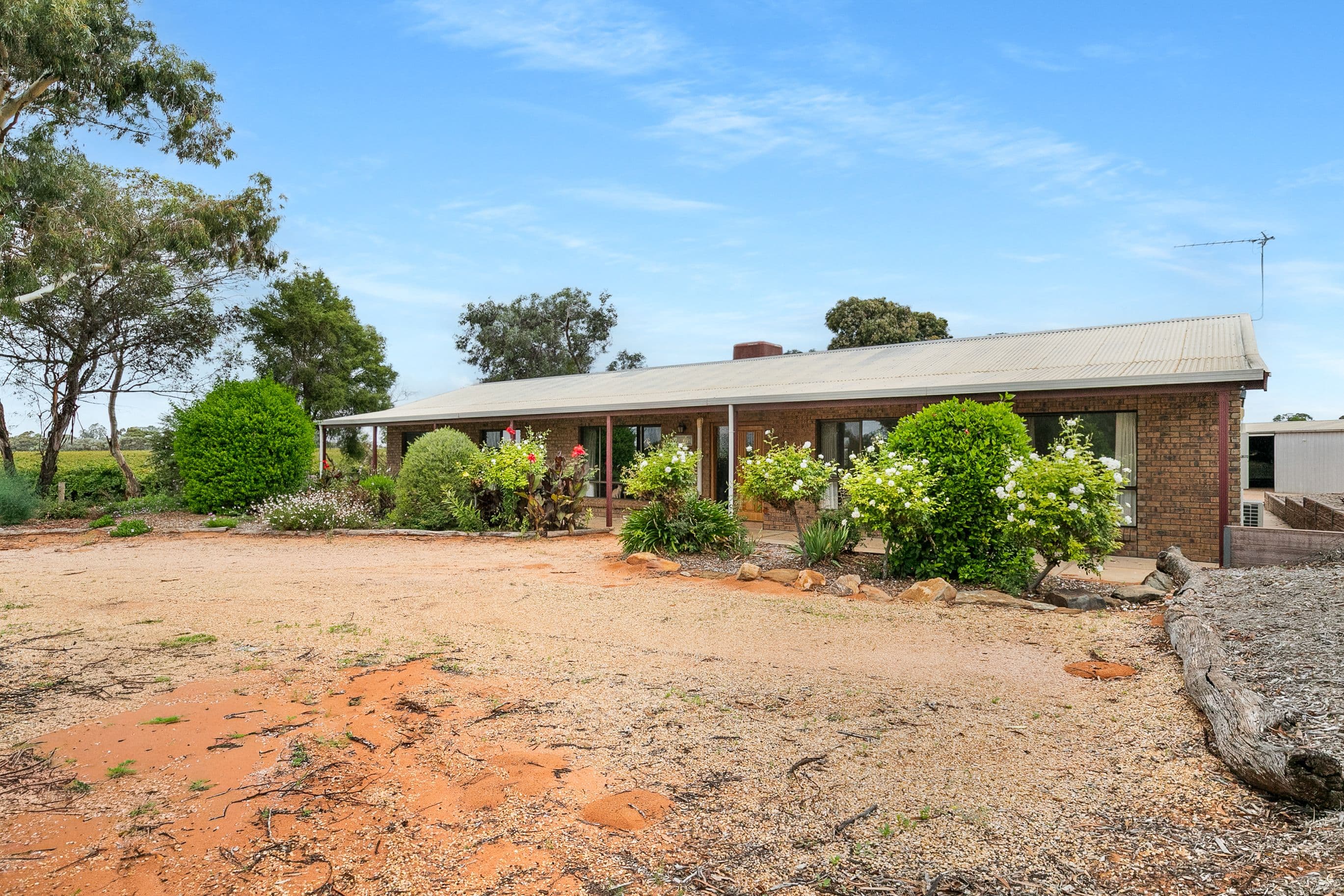 129 Evans Road, Barmera SA 5345, Barmera - Image 1