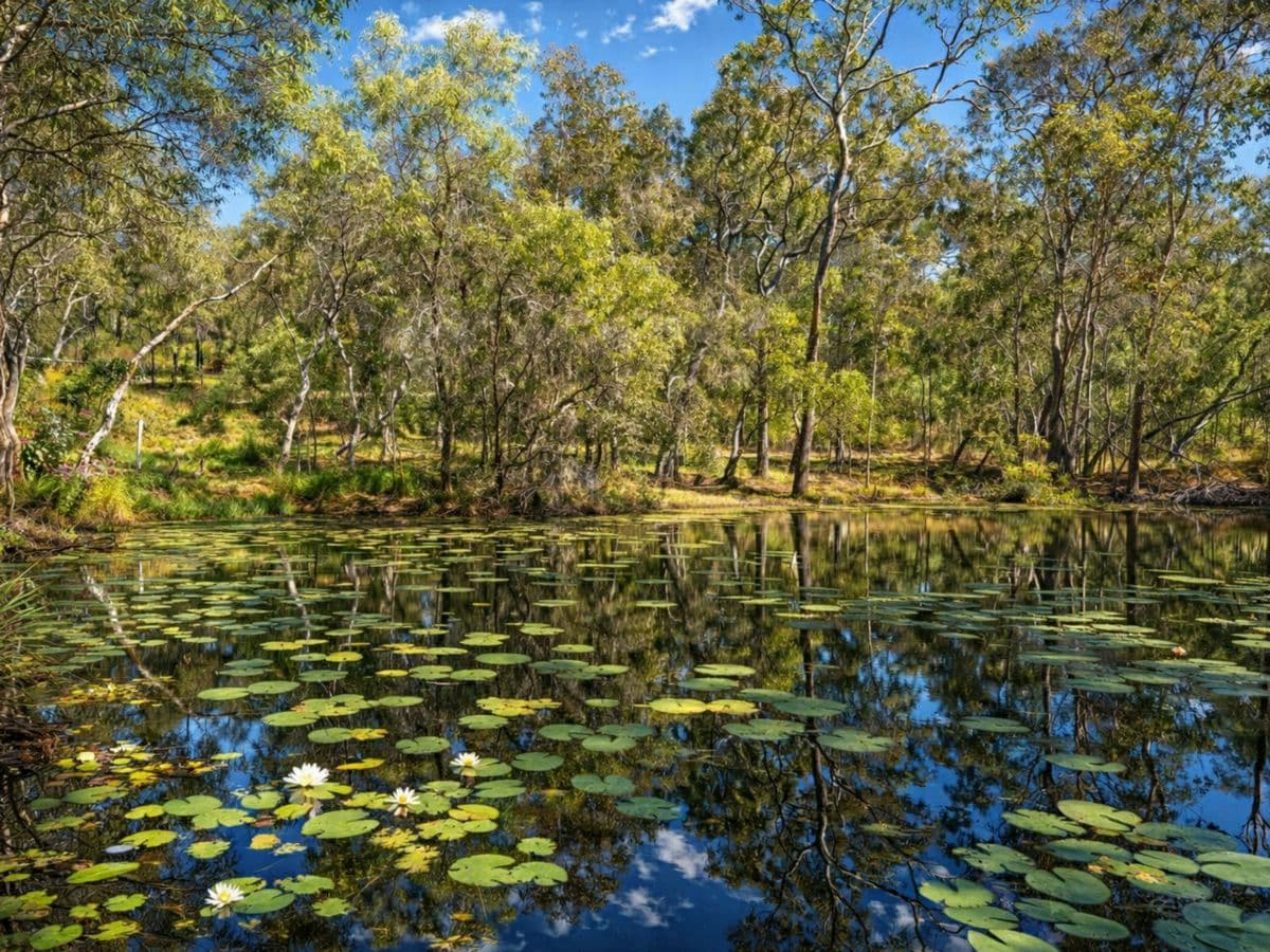 70 Josefski Road, AGNES WATER, Agnes Water - Image 1