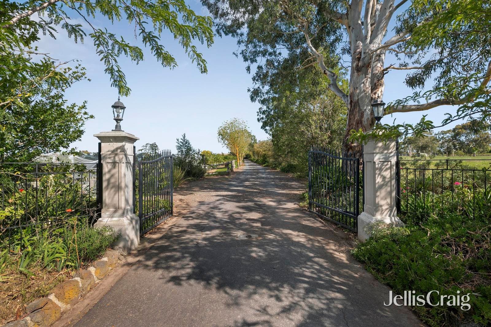 18 MacIntyre Lane, Yering, Yering - Image 1
