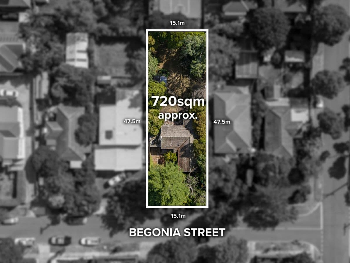 23 Begonia Street, BOX HILL SOUTH, Box Hill South - Image 1