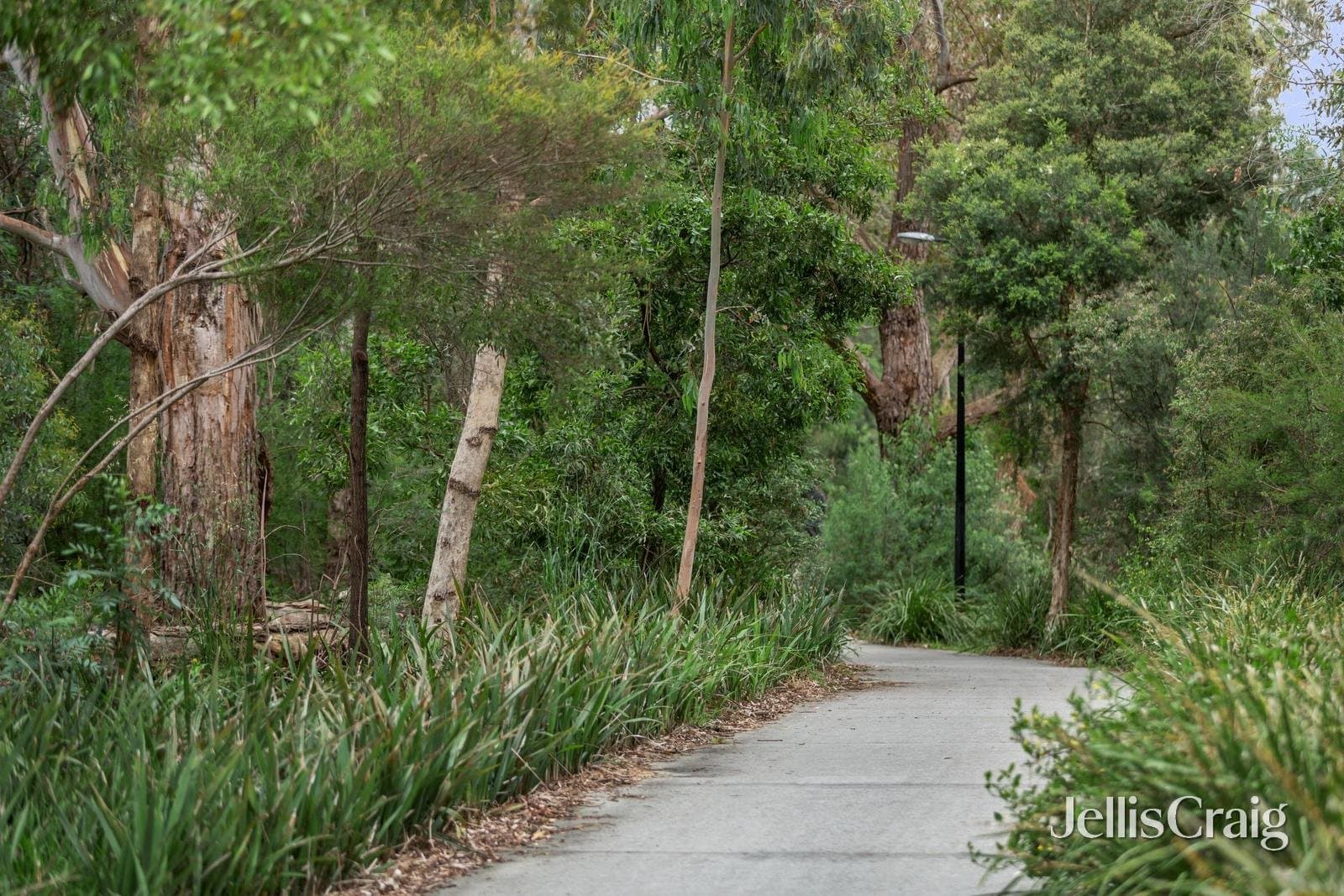 64 Jeffrey Drive, Ringwood, Ringwood - Image 1