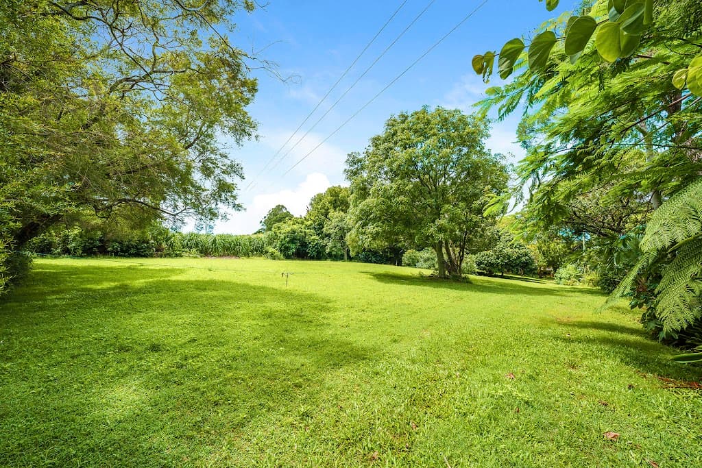 65 Scenic Drive, Bilambil Heights, NSW, 2486, Bilambil Heights - Image 1