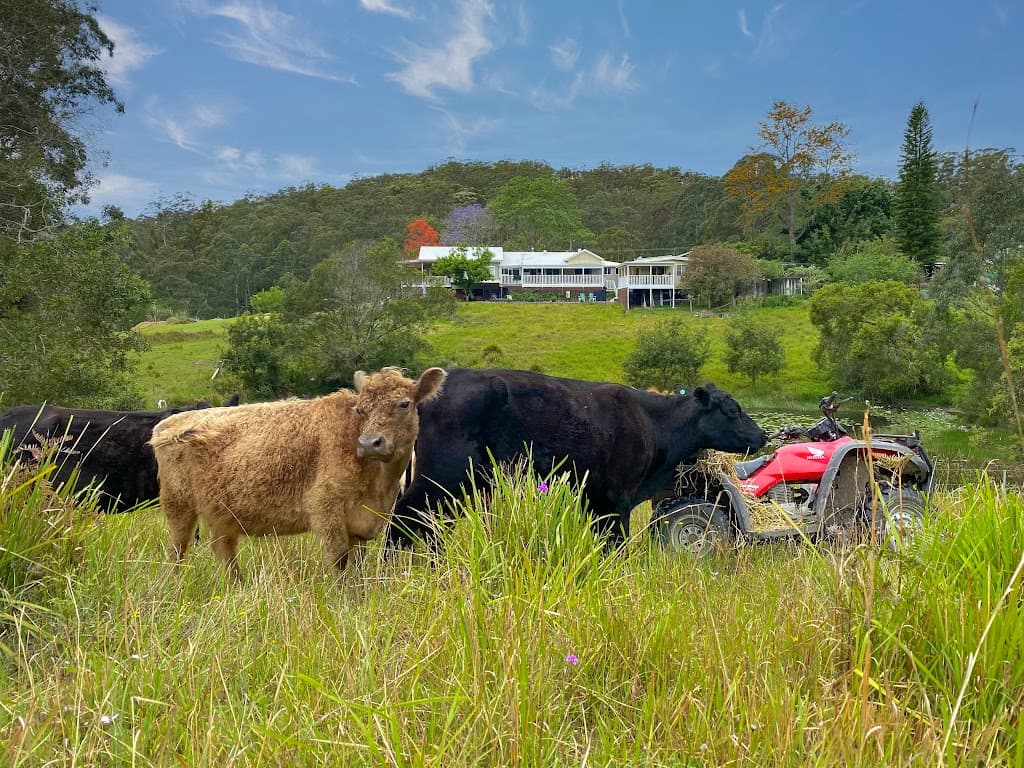 130 Cedar Loggers Lane, Batar Creek - Image 1