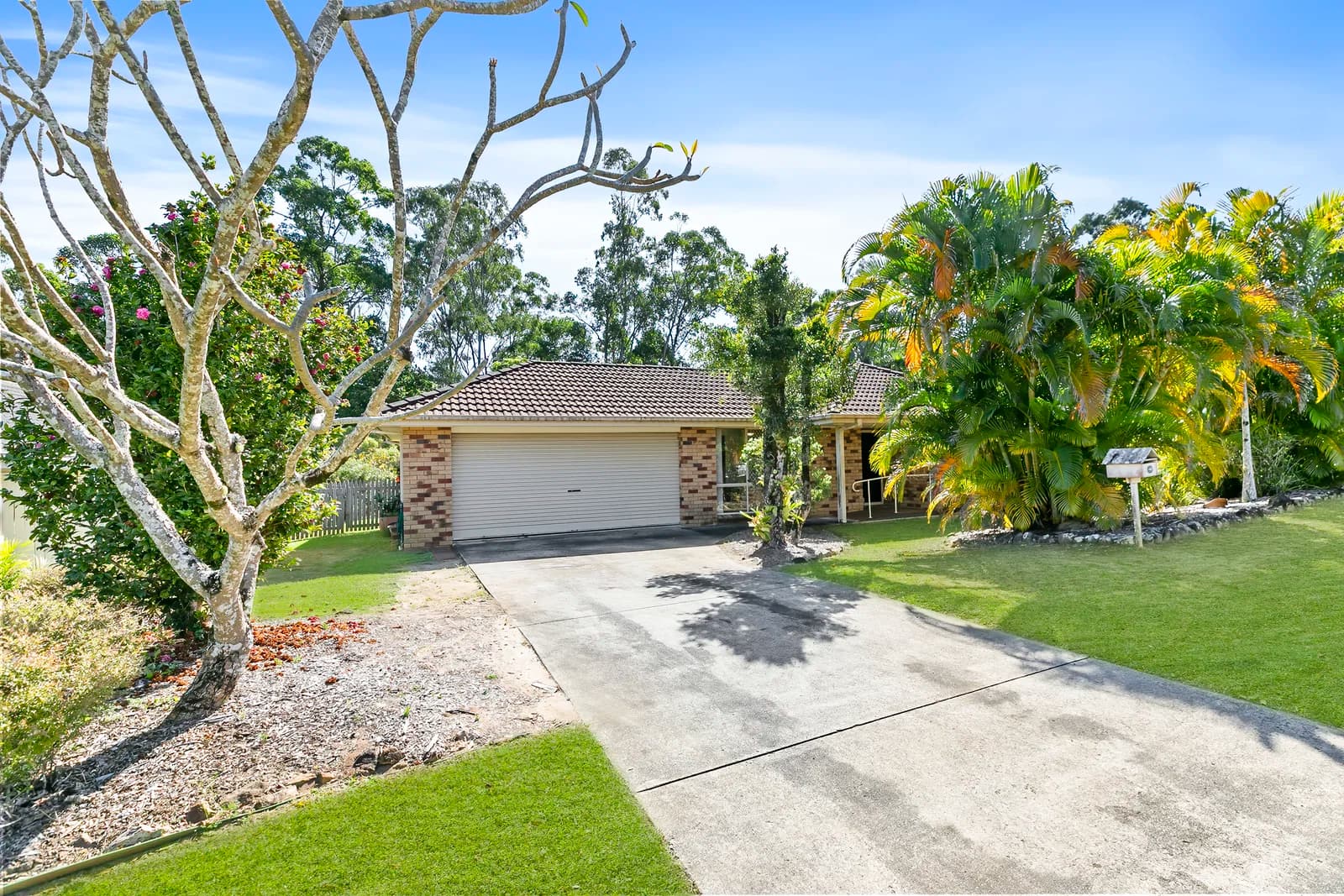 41 Sam White Drive, Buderim, QLD, 4556, Buderim - Image 1