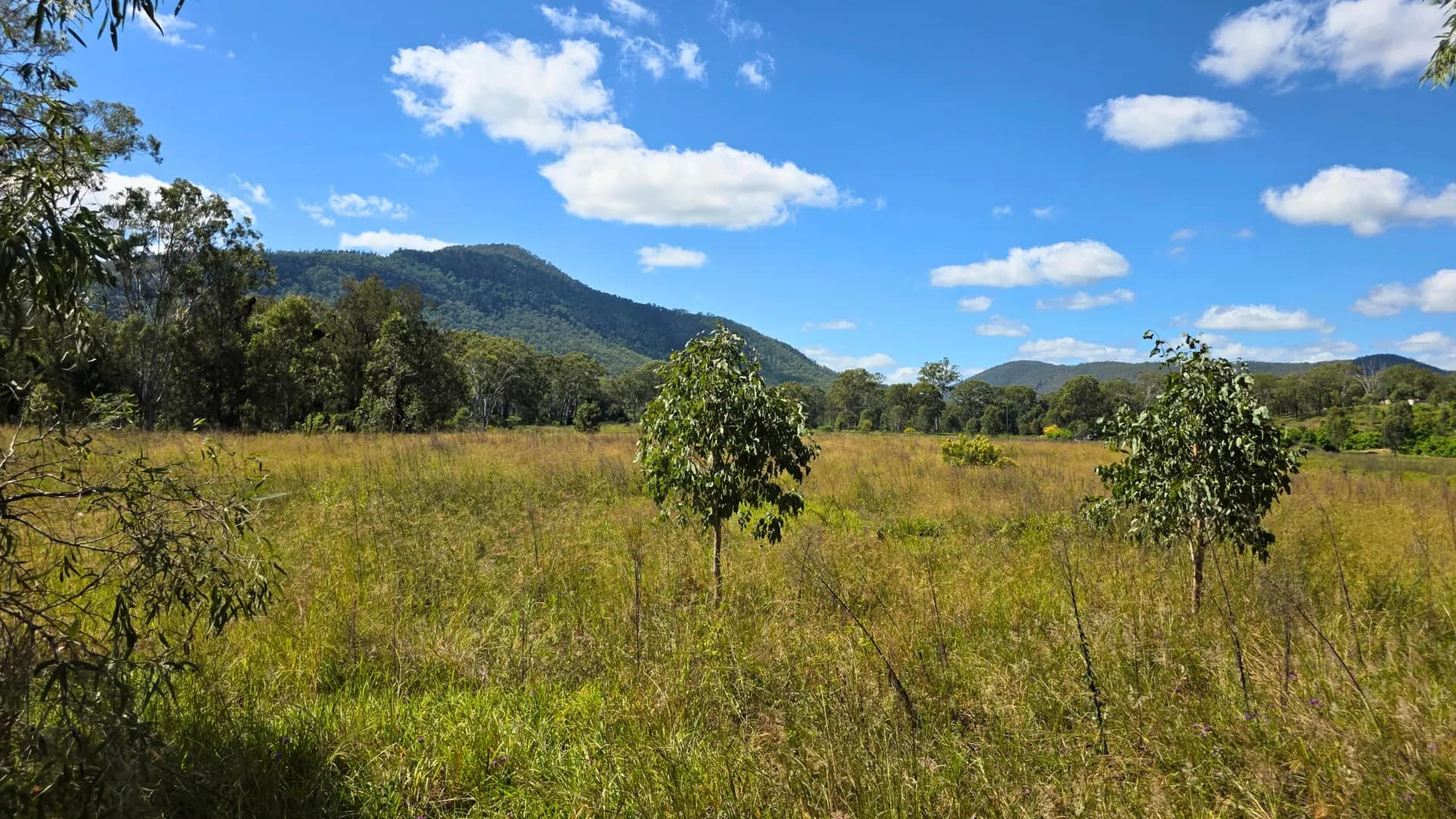 Gayndah - Mount Perry Road, Mount Perry QLD 4671, Mount Perry - Image 1