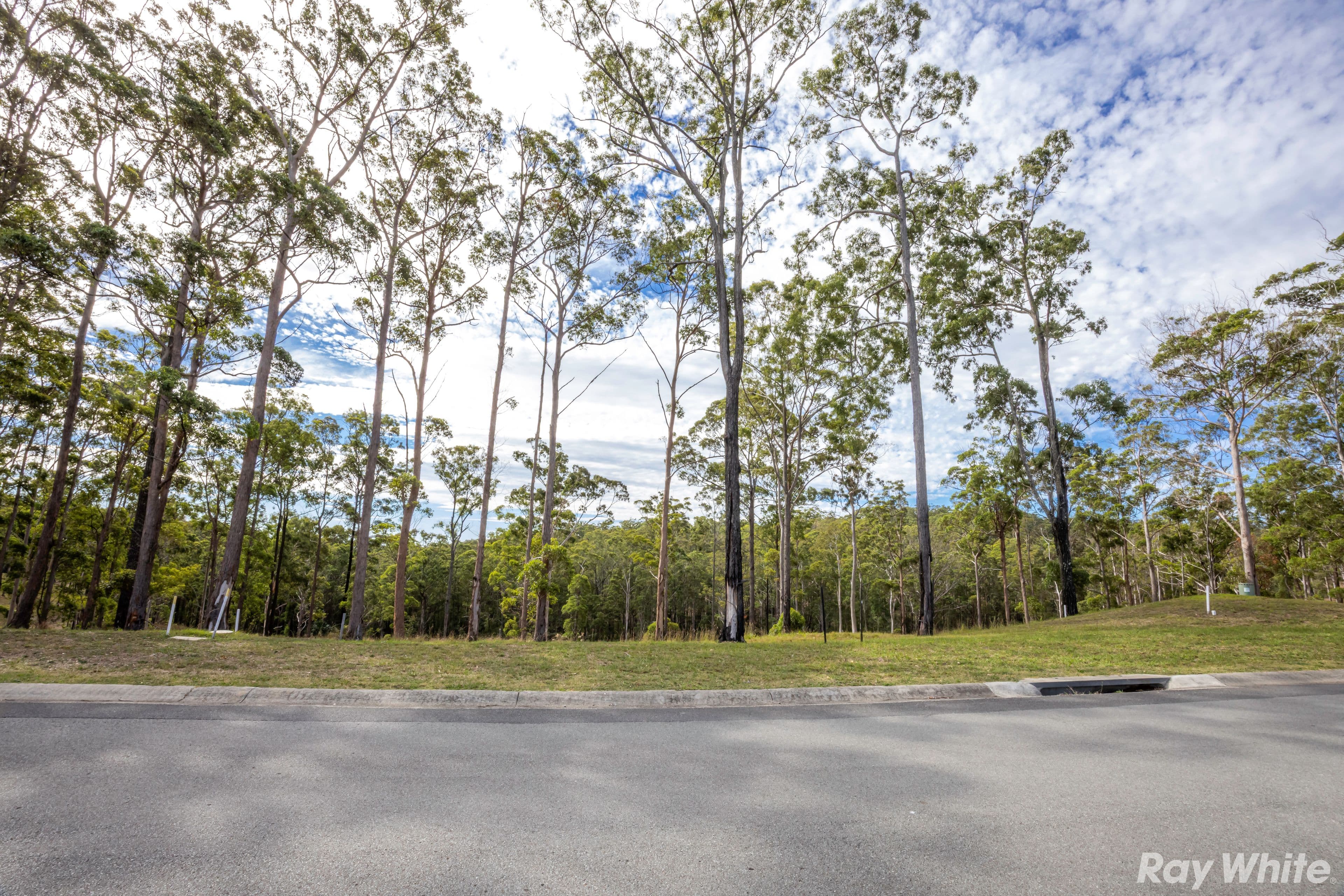 Lot 5 Tallwoods Drive 'Summerland Estate', Hallidays Point NSW 2430, Hallidays Point - Image 1