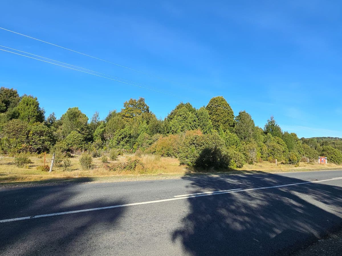 891 Waratah Road, Waratah, Waratah - Image 1