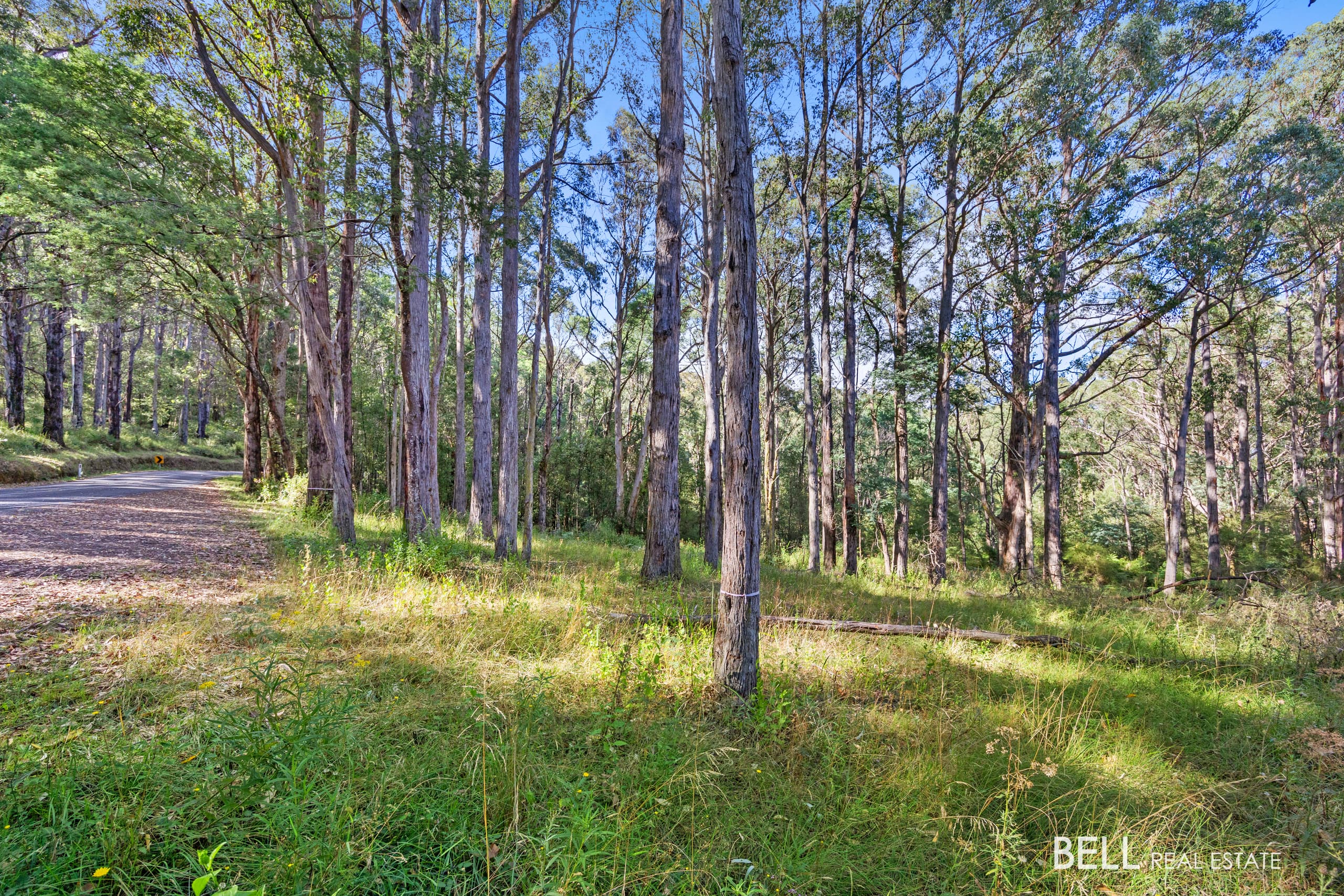 400 Old Warburton Road, WARBURTON, Warburton - Image 1