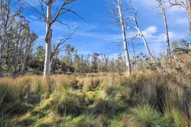 1060 Creewah Road, CREEWAH, NSW 2631, Creewah - Image 1