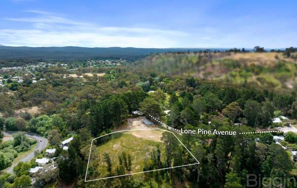 5 Lone Pine Avenue, Hepburn Springs, VIC, Hepburn Springs - Image 1