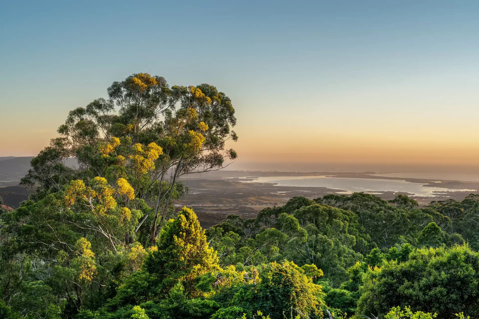 240 Lees Road, Robertson, Robertson - Image 1