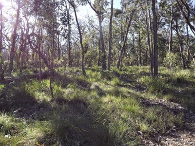 1527 New England Highway, Dundee, Dundee - Image 1