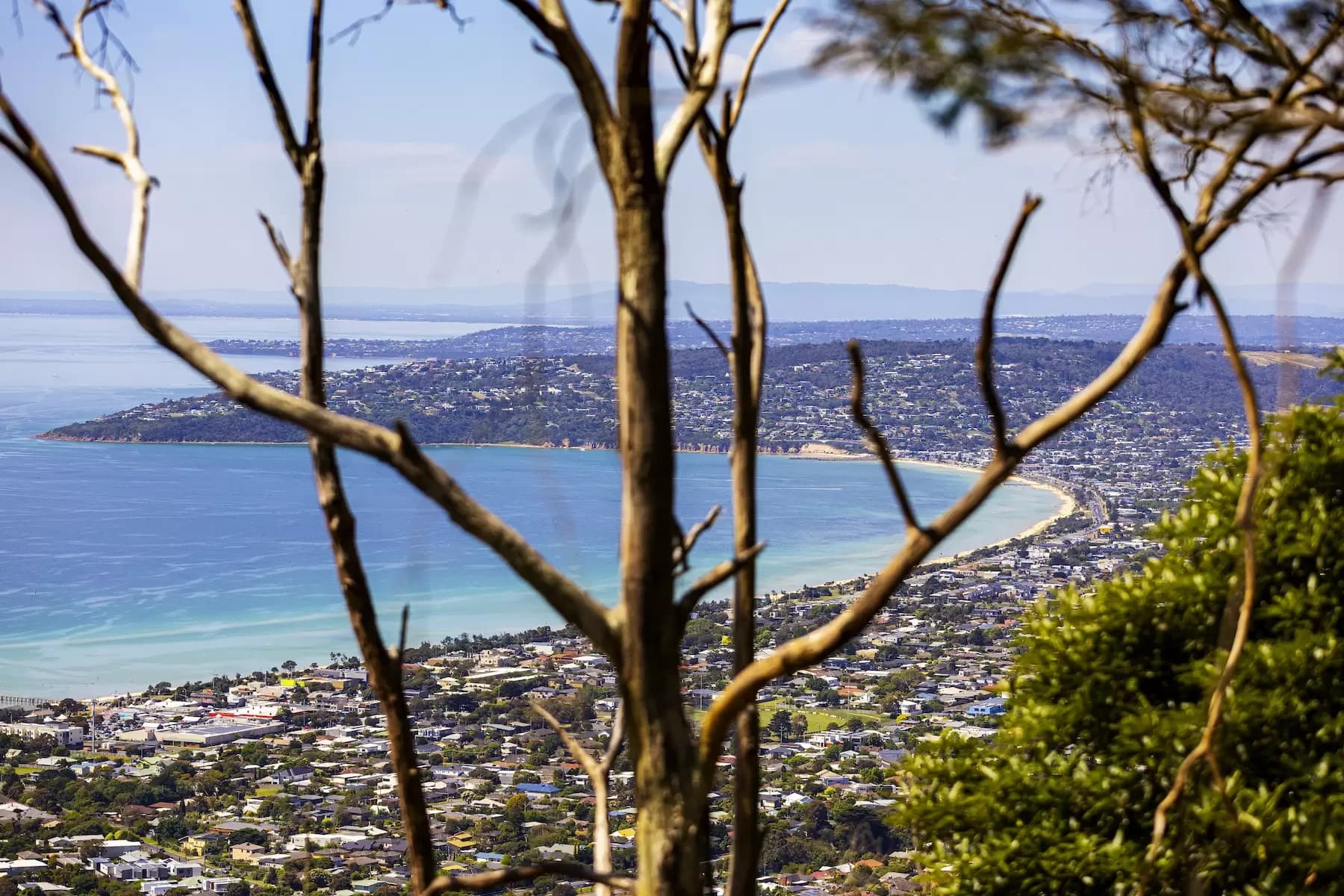 12 Nestle Court, Arthurs Seat, Arthurs Seat - Image 1