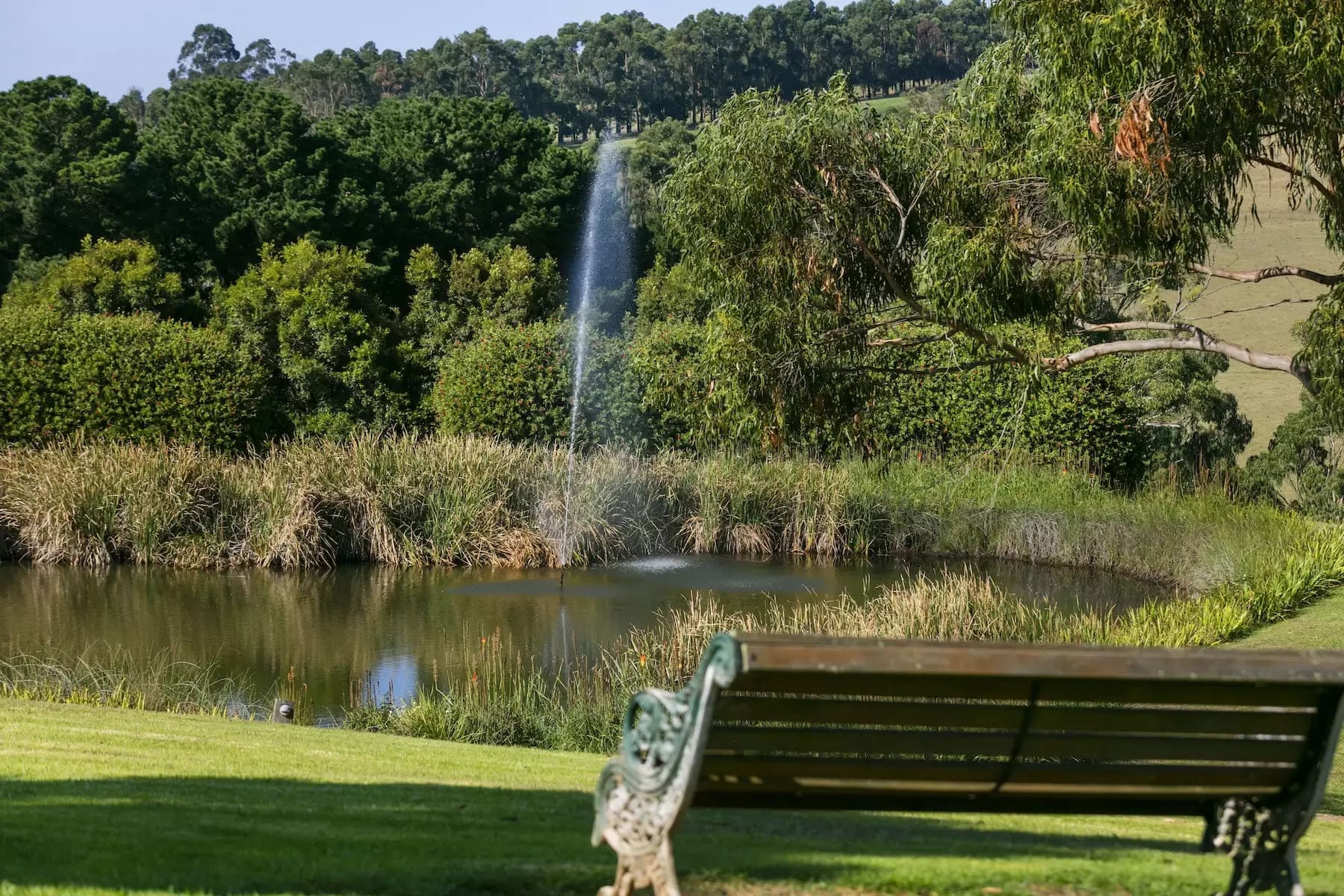 169 Musk Creek Road, Flinders, Flinders - Image 1