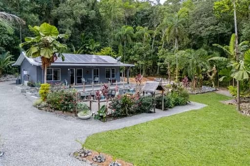 Forest Creek, Forest Creek - Image 1