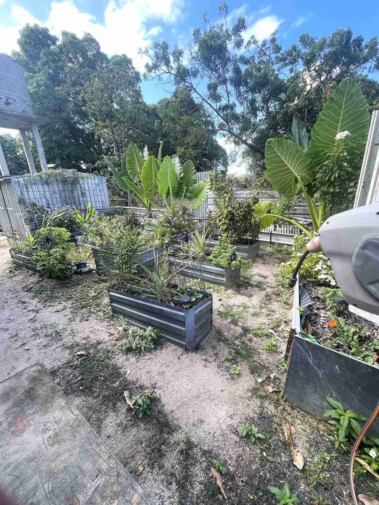 119 Seventh Avenue, Home Hill, QLD 4806, Home Hill - Image 1