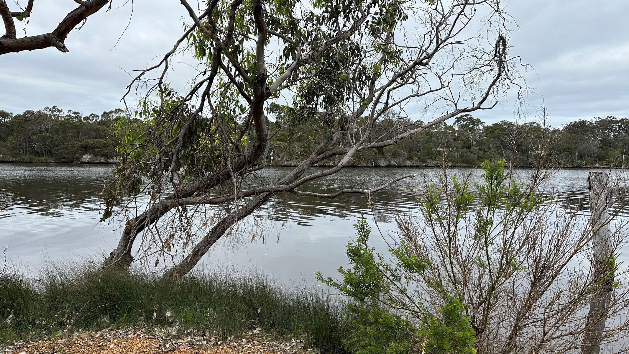 8 Sabina Drive, Molloy Island, WA 6290, Molloy Island - Image 1