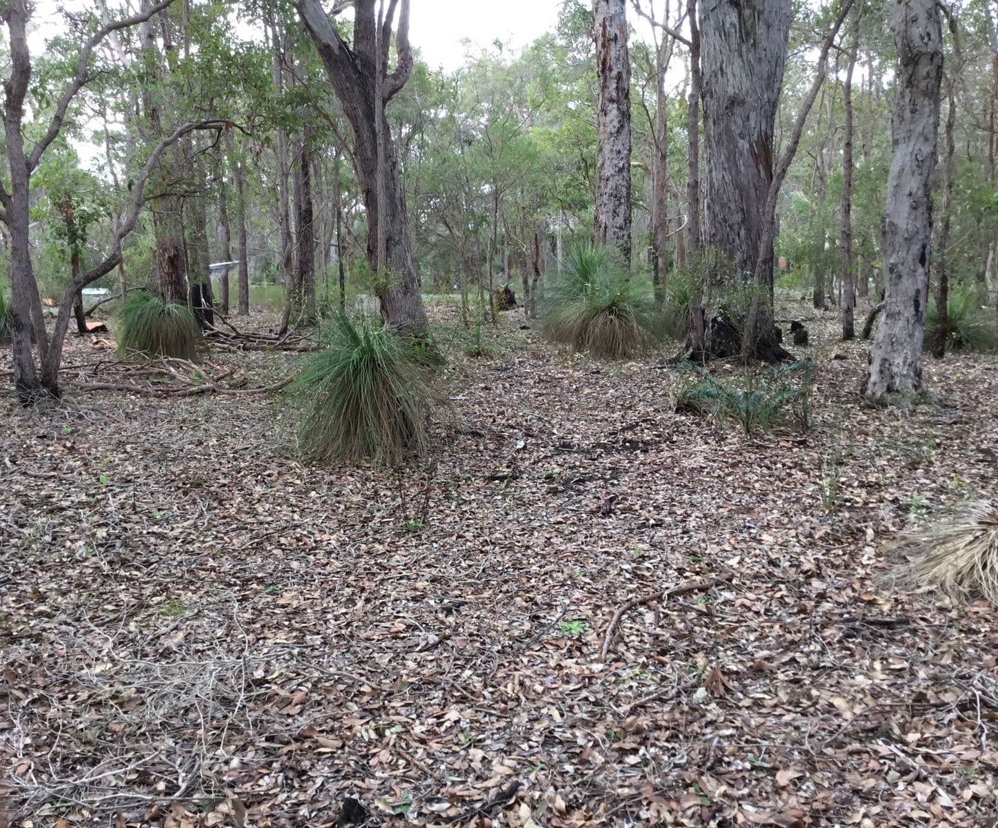 29 Sabina Drive, Molloy Island, WA 6290, Molloy Island - Image 1