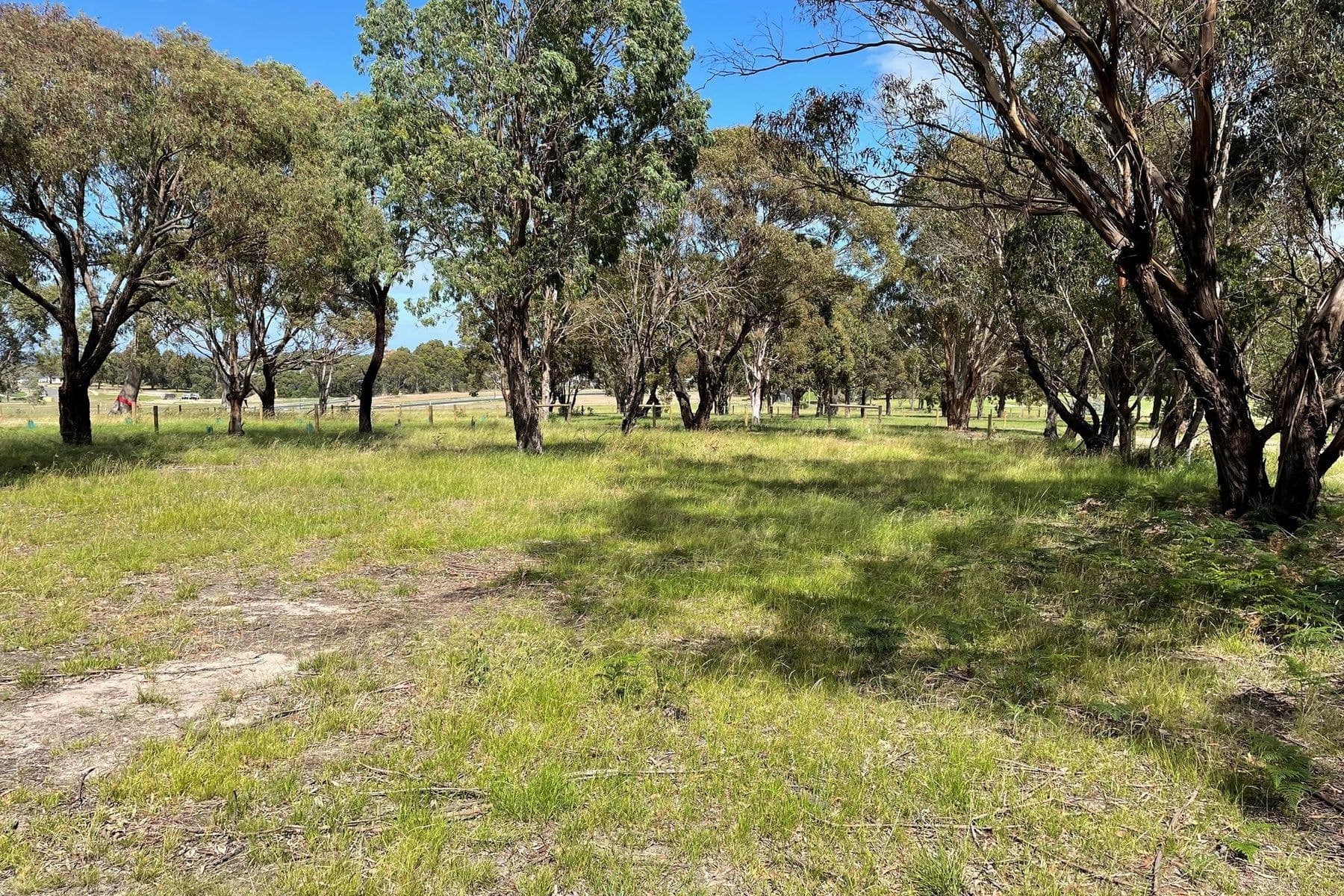 104 Kings Cove Boulevard, Metung VIC 3904, Metung - Image 1