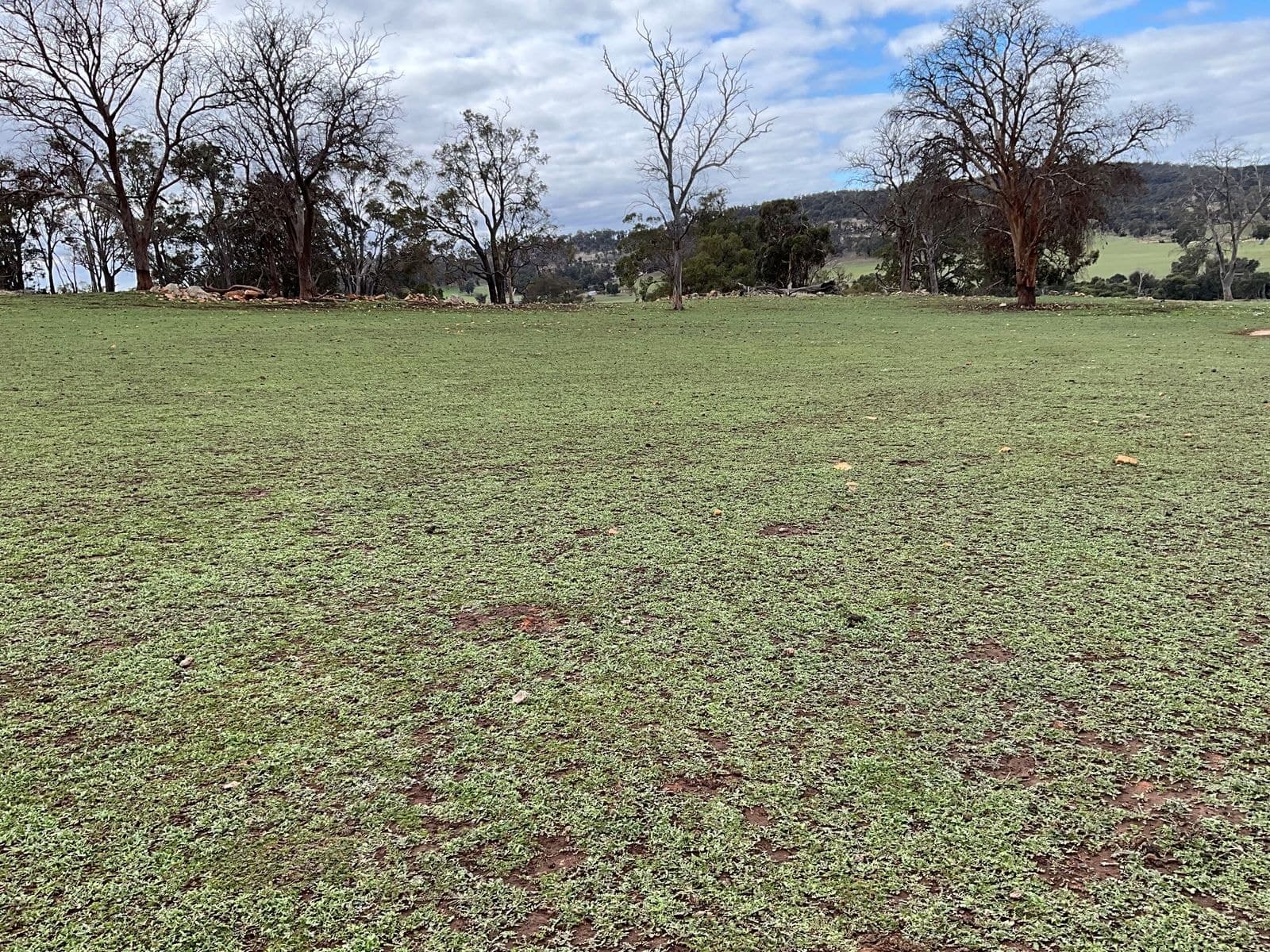 Lot 21 Kalimna Way, Boddington WA 6390, Boddington - Image 1