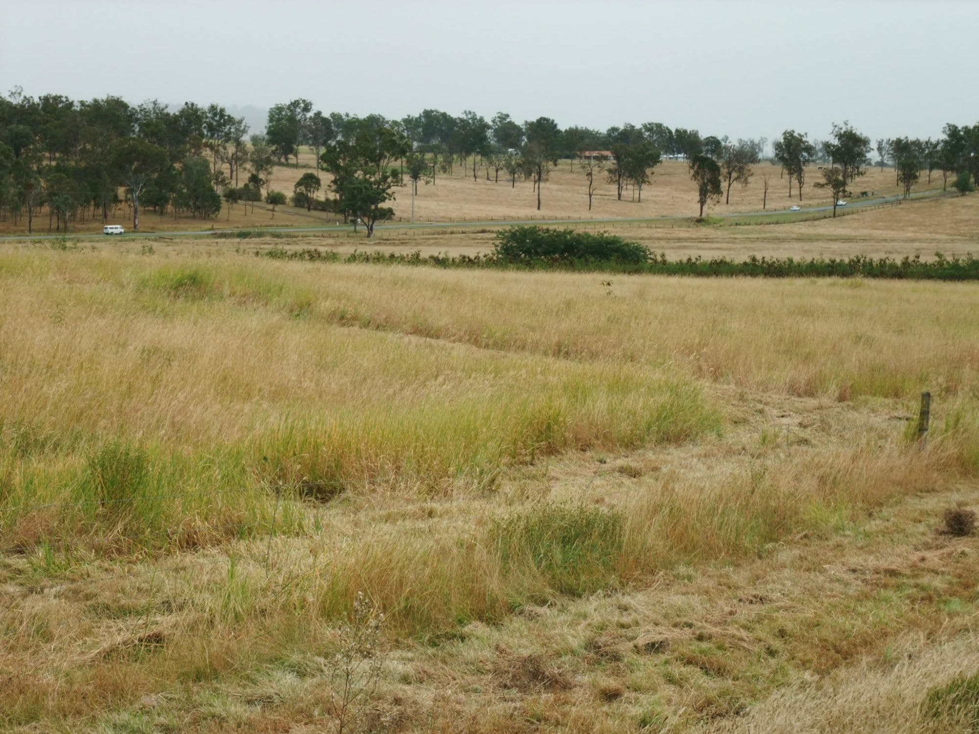 Lot 30 Ipswich Boonah Road, Milbong - Image 1