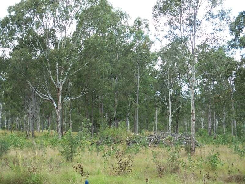 Lot 1 Cunningham Highway, Mount Edwards - Image 1