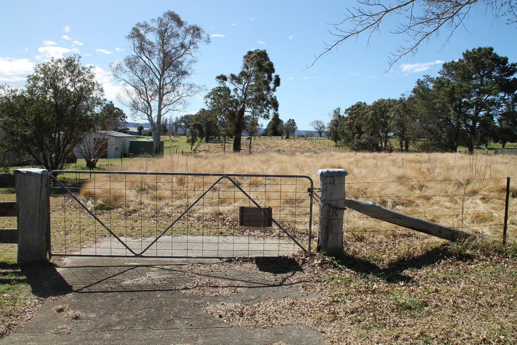 12 Casino Road, Tenterfield NSW 2372, Tenterfield - Image 1