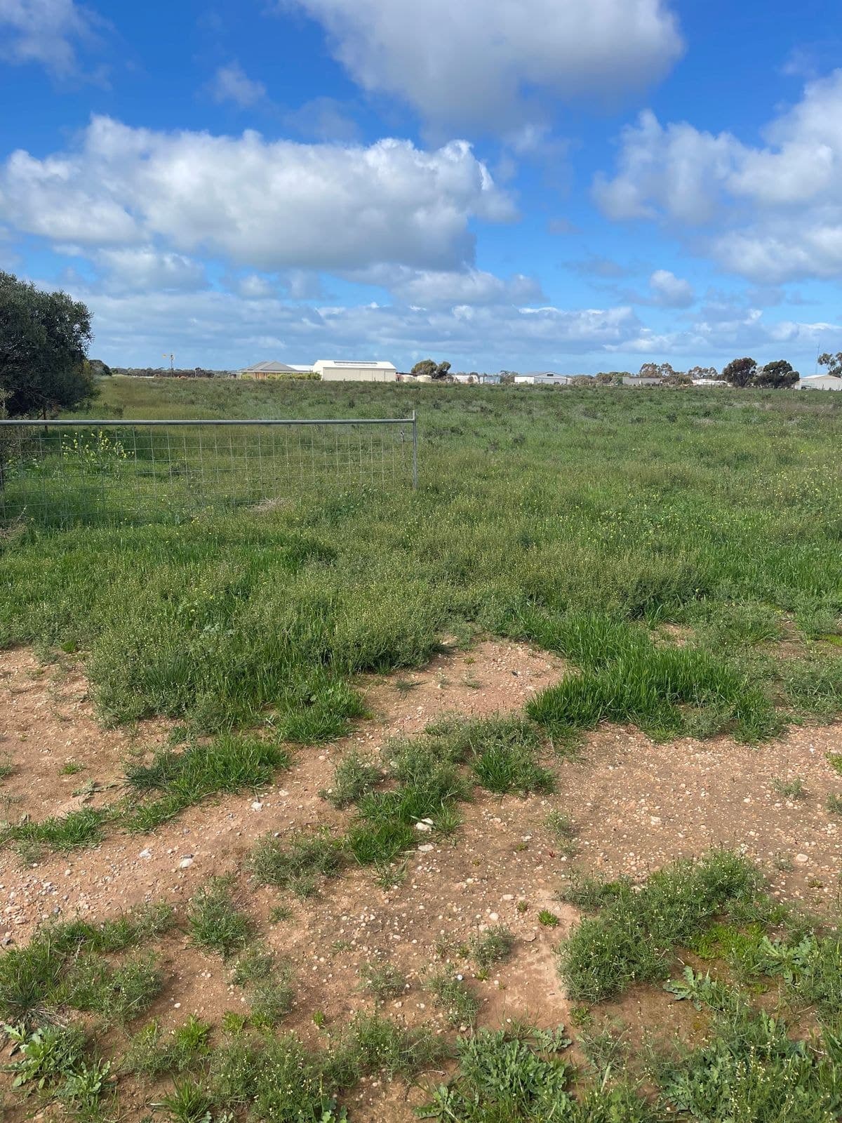 Lot 103 Donaldson Rd, New Town SA 5554, New Town - Image 1
