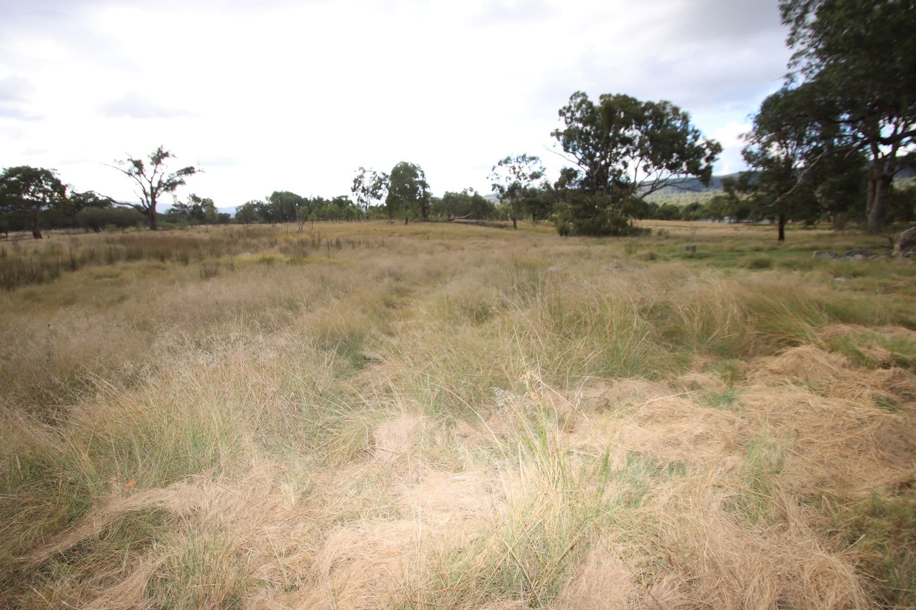 Lot 1423 Sunnyside Hall Road, Tenterfield NSW 2372, Tenterfield - Image 1