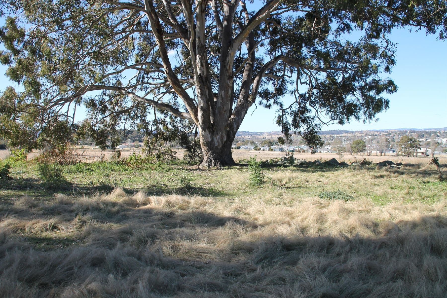 54A Neagles Lane, Tenterfield NSW 2372, Tenterfield - Image 1