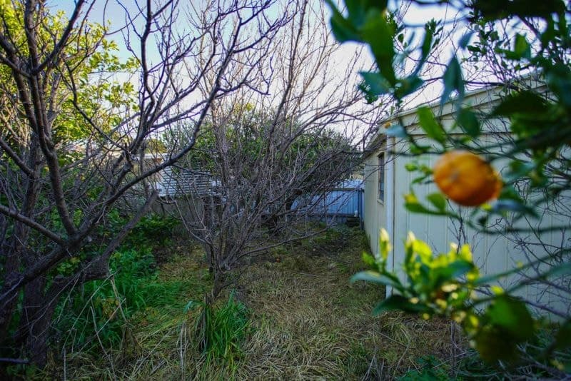 8 Russell Street, Henley Beach South - Image 1