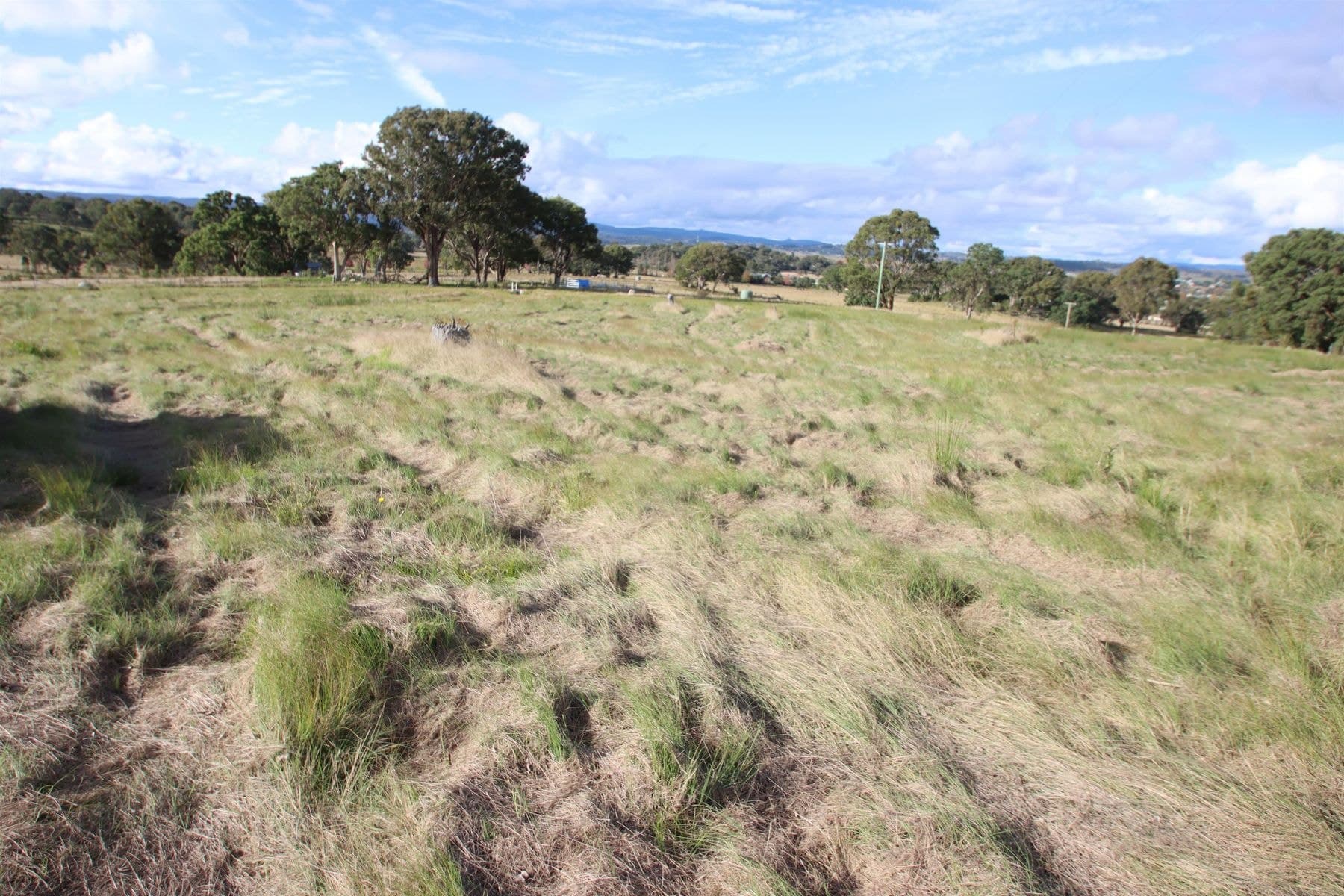 Lot 826 Neagles Lane, Tenterfield NSW 2372, Tenterfield - Image 1